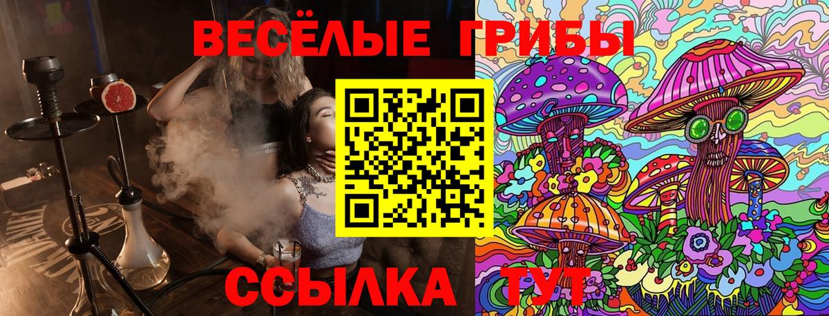 Галлюциногенные грибы Psilocybine cubensis  Вход с VPN  Псилоцибиновые грибы Psilocybine cubensis  Соль-Илецк 