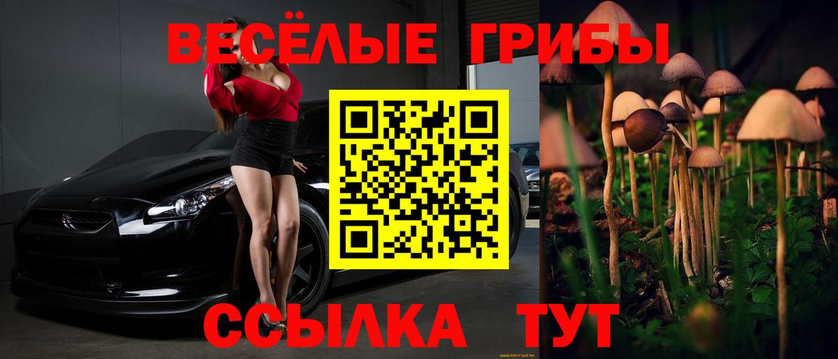 Псилоцибиновые грибы мухоморы Соль-Илецк